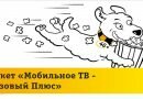 Пакет «Мобильное ТВ — Базовый Плюс» Пакет «Мобильное ТВ — Базовый Плюс»