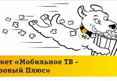 Пакет «Мобильное ТВ — Базовый Плюс» Пакет «Мобильное ТВ — Базовый Плюс»